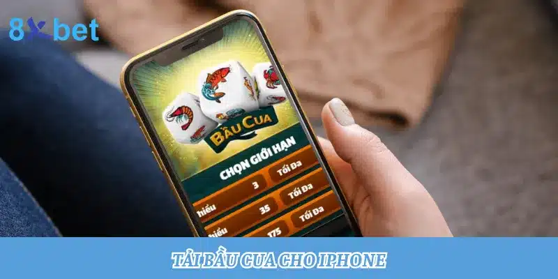 Hướng dẫn tải Bầu Cua cho iPhone, thành công chỉ trong 3 phút 5 Tải Bầu Cua cho iPhone